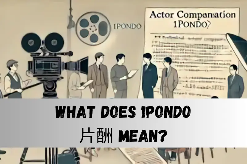 What Does 1pondo片酬 Mean?