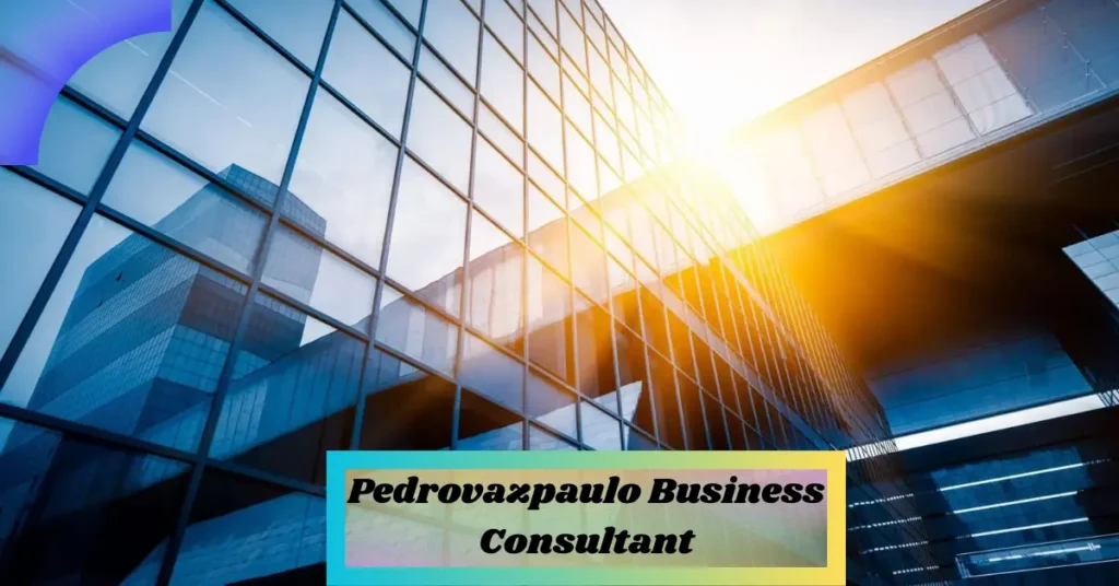 Pedrovazpaulo Business Consultant – Step By Step Guide – Newztalkies.com pedrovazpaulo business consultant