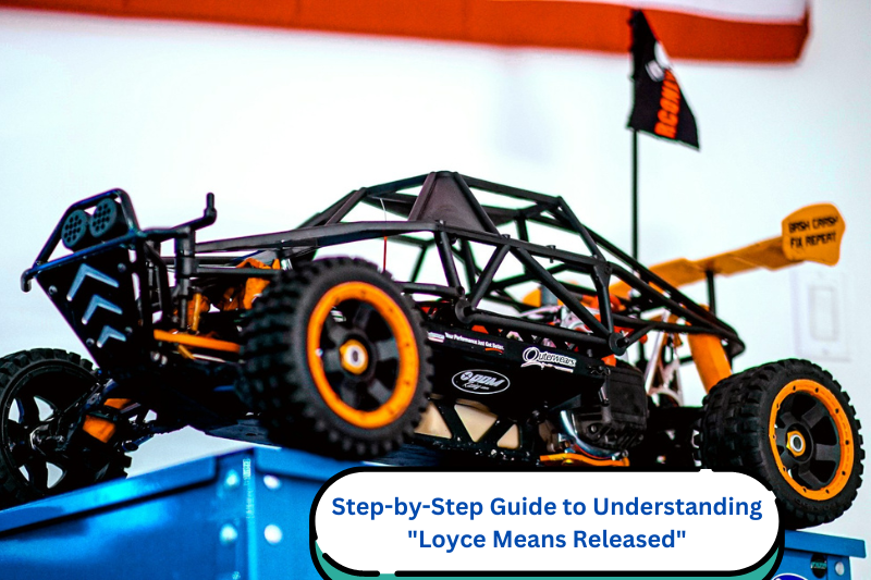 step by step guide to understanding loyce means released