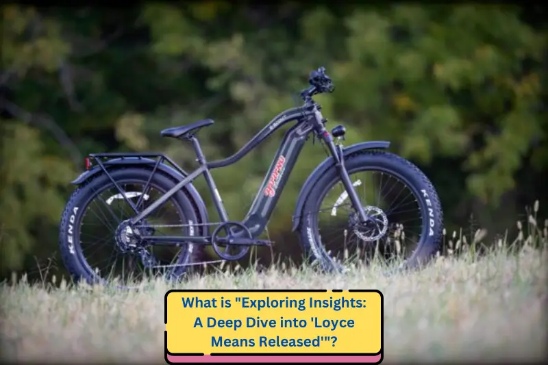 what is exploring insights a deep dive into loyce means released